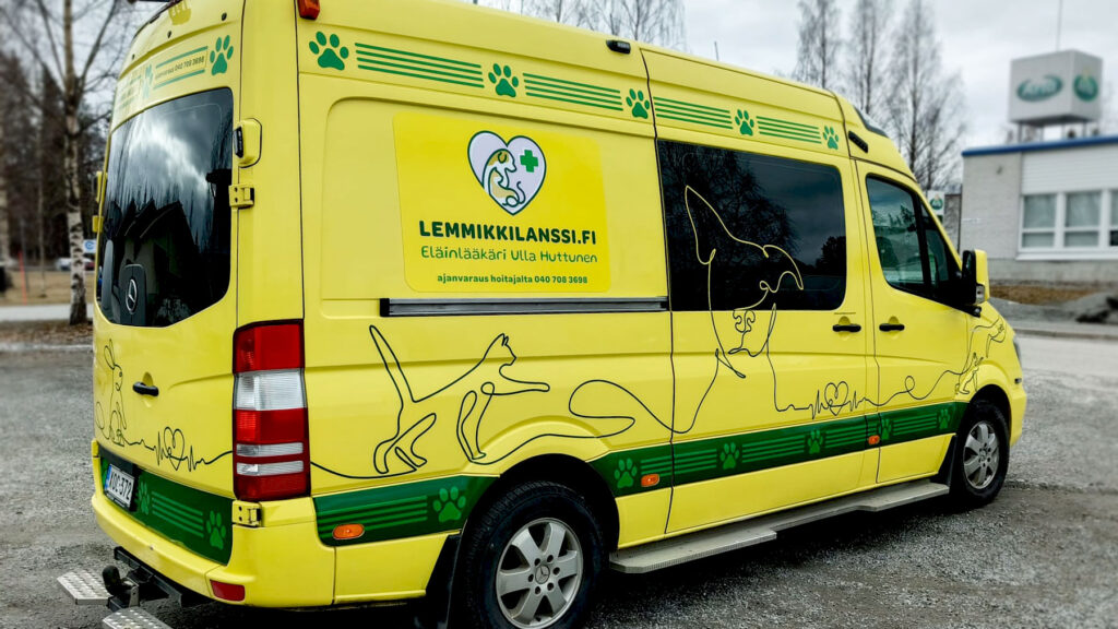 Lemmikkilanssi autoteippaus