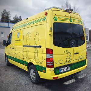 Lemmikkilanssi autoteippaus
